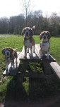 Timo, Luna en Didi